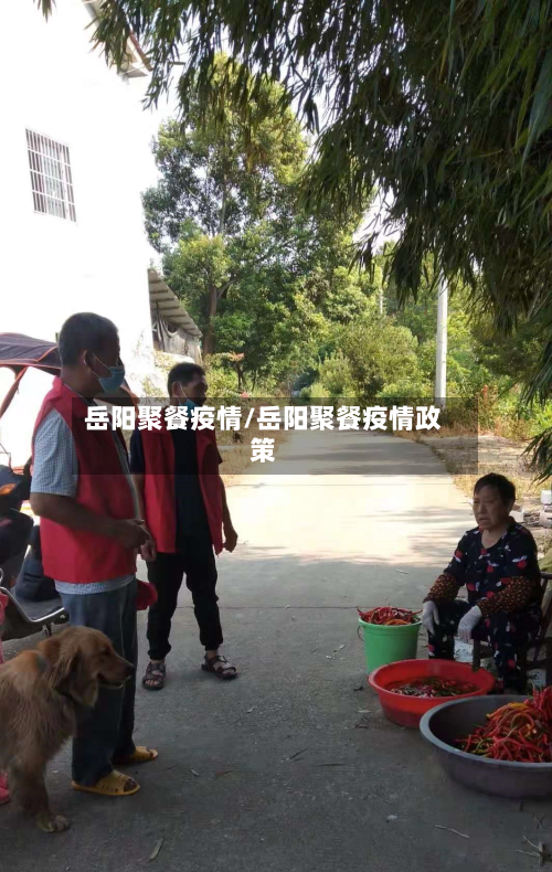 岳阳聚餐疫情/岳阳聚餐疫情政策-第2张图片