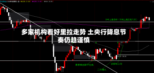 多家机构看好里拉走势 土央行降息节奏仍趋谨慎-第3张图片