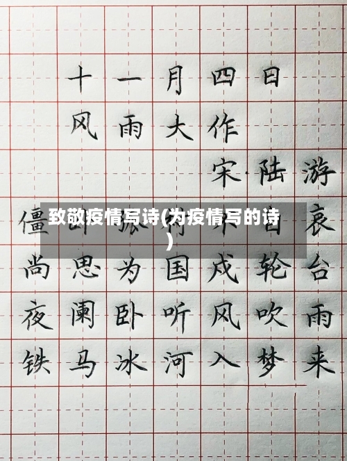 致敬疫情写诗(为疫情写的诗)