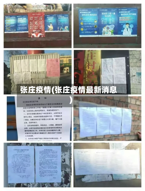 张庄疫情(张庄疫情最新消息)