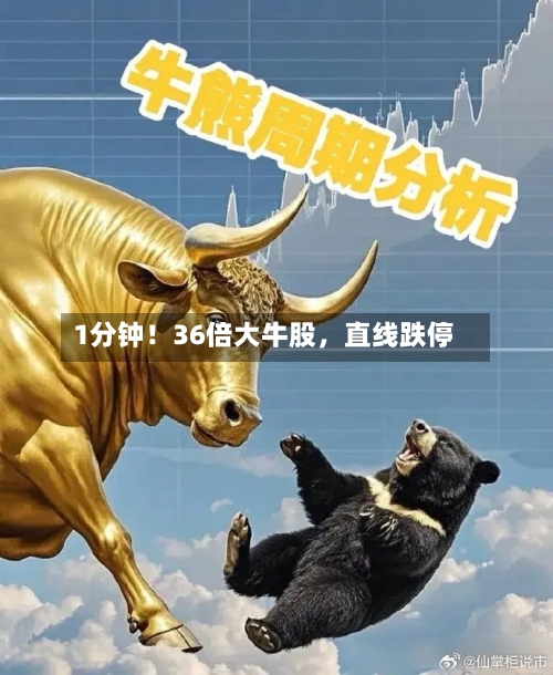 1分钟！36倍大牛股，直线跌停-第3张图片