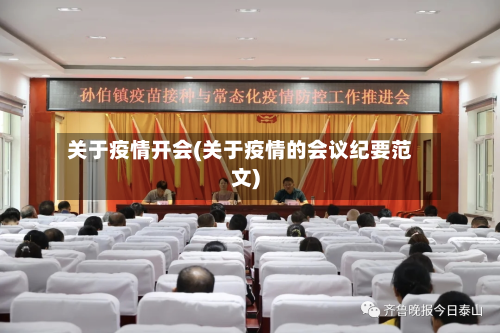关于疫情开会(关于疫情的会议纪要范文)-第2张图片