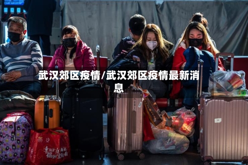 武汉郊区疫情/武汉郊区疫情最新消息-第2张图片