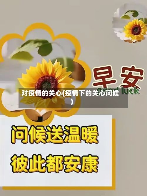 对疫情的关心(疫情下的关心问候)-第2张图片