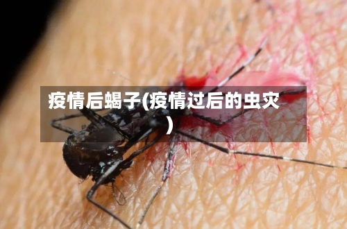 疫情后蝎子(疫情过后的虫灾)-第2张图片