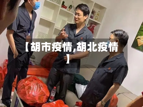 【胡市疫情,胡北疫情】