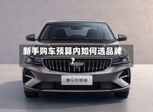 新手购车预算内如何选品牌？-第3张图片