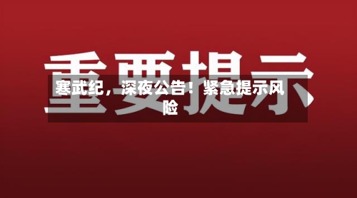 寒武纪，深夜公告！紧急提示风险-第2张图片