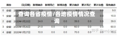查询各省疫情/各地疫情情况查询