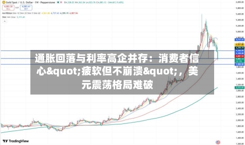 通胀回落与利率高企并存：消费者信心"疲软但不崩溃"，美元震荡格局难破-第3张图片