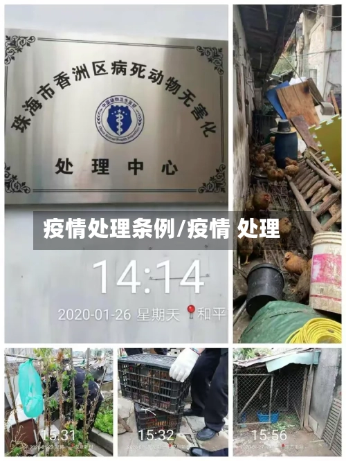疫情处理条例/疫情 处理-第3张图片