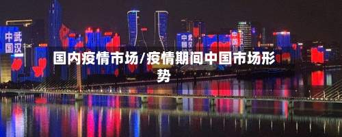 国内疫情市场/疫情期间中国市场形势