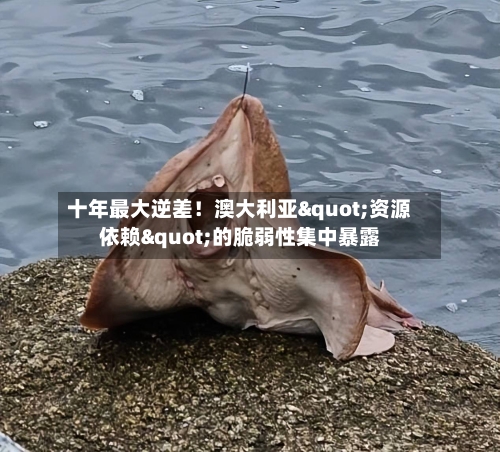 十年最大逆差！澳大利亚"资源依赖"的脆弱性集中暴露