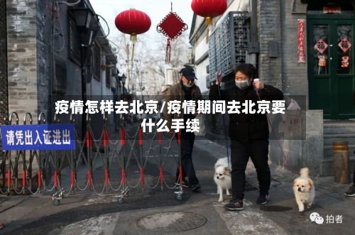 疫情怎样去北京/疫情期间去北京要什么手续
