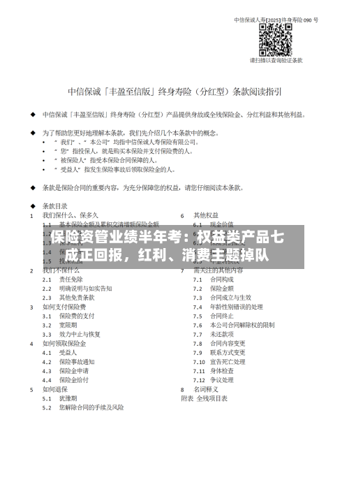 保险资管业绩半年考：权益类产品七成正回报，红利、消费主题掉队-第2张图片