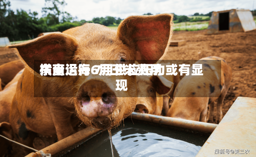 东南沿海6月玉米费用横盘运行 7月供应压力或有显现-第2张图片