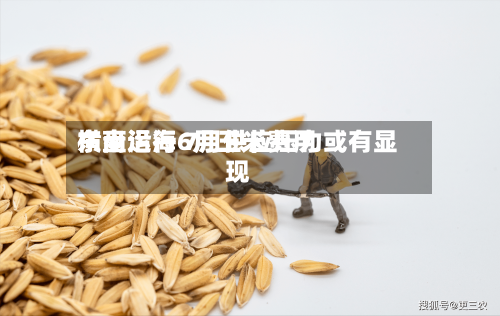 东南沿海6月玉米费用横盘运行 7月供应压力或有显现-第3张图片