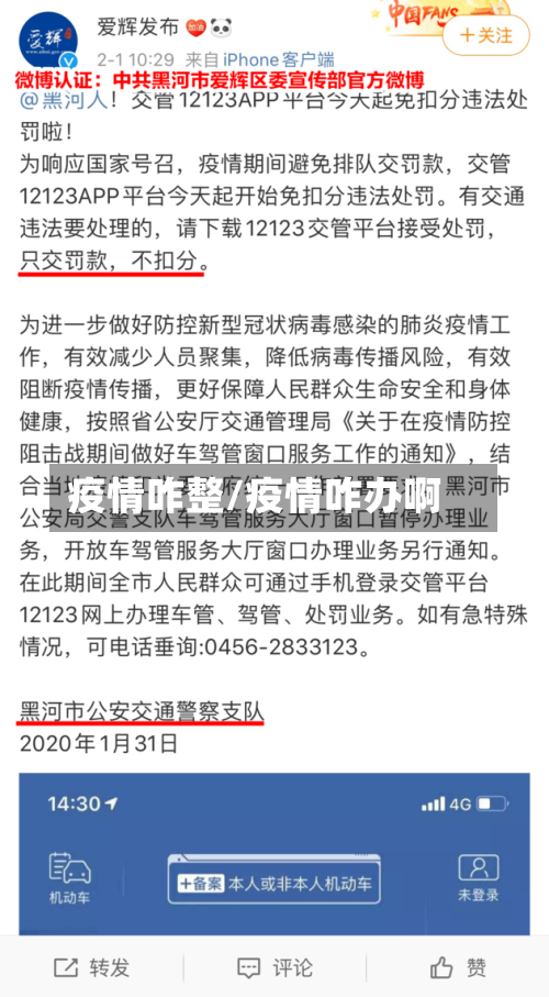 疫情咋整/疫情咋办啊-第3张图片