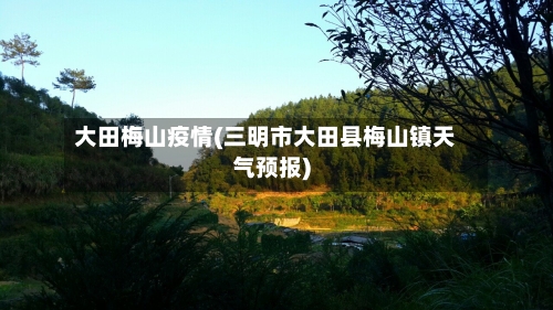 大田梅山疫情(三明市大田县梅山镇天气预报)