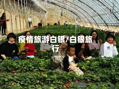 疫情旅游白银/白银旅行