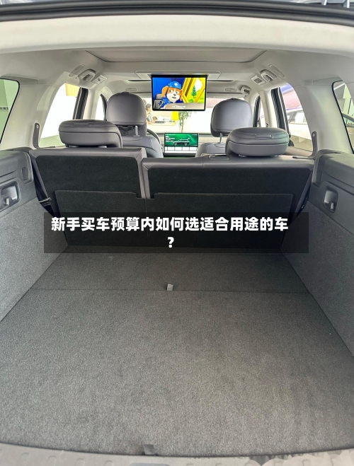 新手买车预算内如何选适合用途的车？-第2张图片