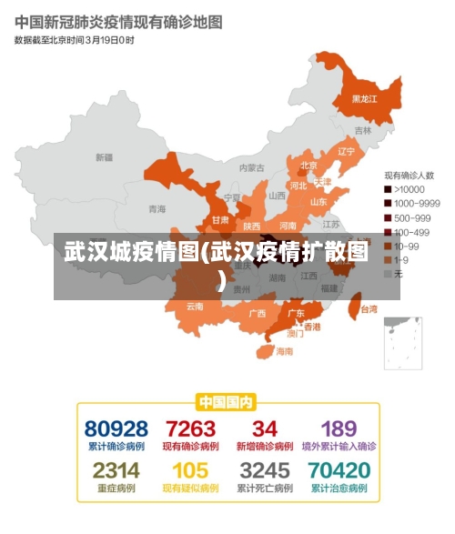 武汉城疫情图(武汉疫情扩散图)