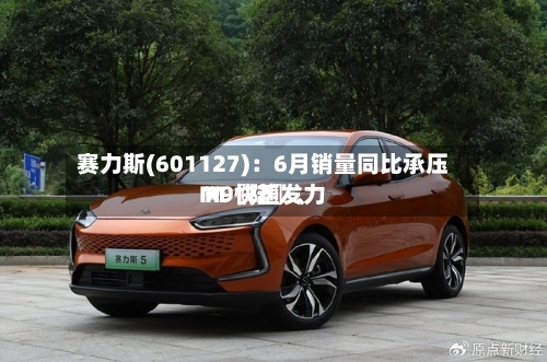 赛力斯(601127)：6月销量同比承压 M〖陆〗、M9快速发力