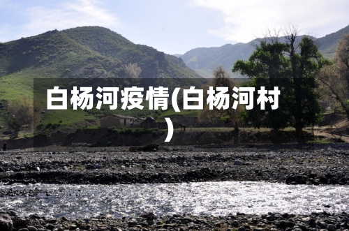 白杨河疫情(白杨河村)