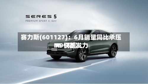 赛力斯(601127)：6月销量同比承压 M〖陆〗、M9快速发力-第2张图片