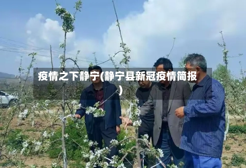 疫情之下静宁(静宁县新冠疫情简报)