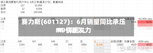 赛力斯(601127)：6月销量同比承压 M〖陆〗、M9快速发力-第2张图片