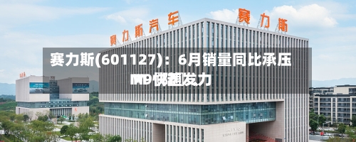 赛力斯(601127)：6月销量同比承压 M〖陆〗、M9快速发力-第2张图片