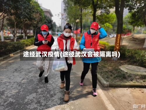 途经武汉疫情(途径武汉会被隔离吗)-第3张图片