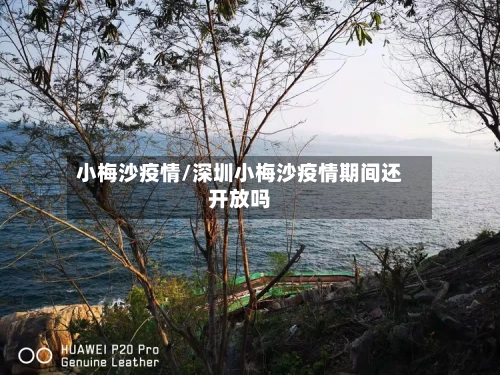 小梅沙疫情/深圳小梅沙疫情期间还开放吗