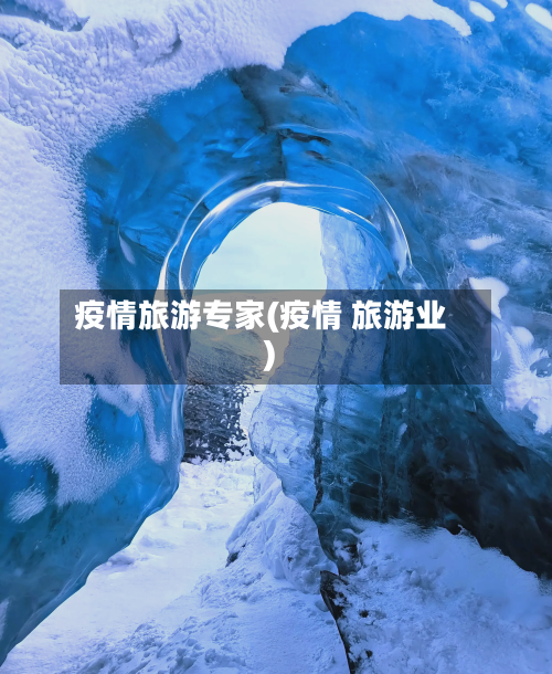 疫情旅游专家(疫情 旅游业)