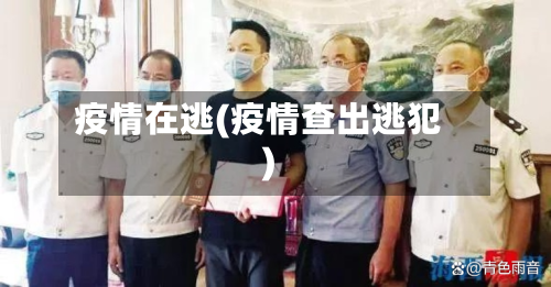 疫情在逃(疫情查出逃犯)