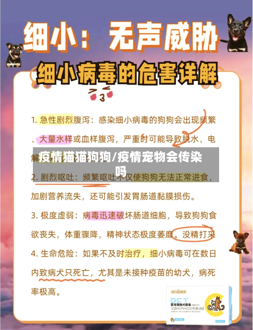 疫情猫猫狗狗/疫情宠物会传染吗-第2张图片