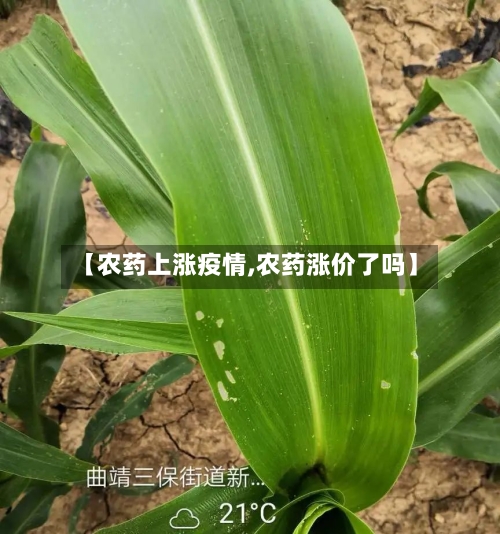 【农药上涨疫情,农药涨价了吗】
