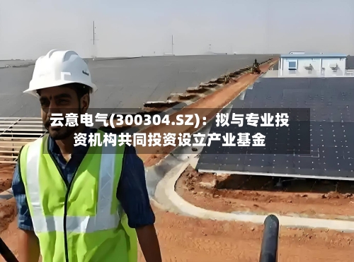 云意电气(300304.SZ)：拟与专业投资机构共同投资设立产业基金