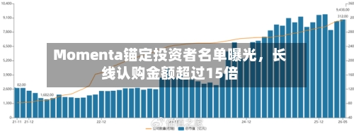 Momenta锚定投资者名单曝光，长线认购金额超过15倍-第2张图片