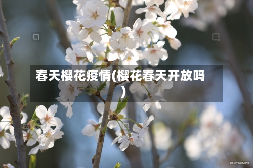 春天樱花疫情(樱花春天开放吗)