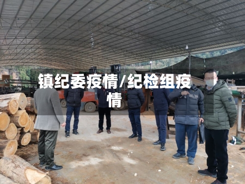 镇纪委疫情/纪检组疫情-第2张图片