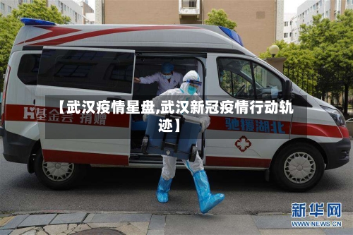 【武汉疫情星盘,武汉新冠疫情行动轨迹】
