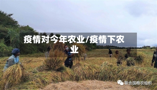 疫情对今年农业/疫情下农业-第2张图片