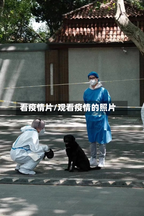看疫情片/观看疫情的照片