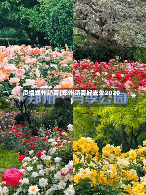 疫情郑州踏青(郑州踏青好去处2020)-第3张图片