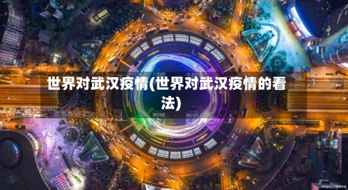 世界对武汉疫情(世界对武汉疫情的看法)-第3张图片