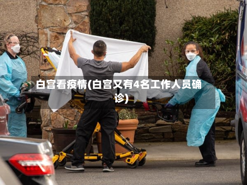 白宫看疫情(白宫又有4名工作人员确诊)-第2张图片