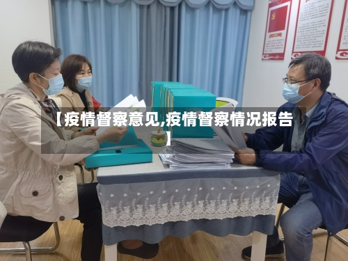 【疫情督察意见,疫情督察情况报告】