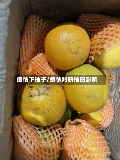 疫情下橙子/疫情对脐橙的影响